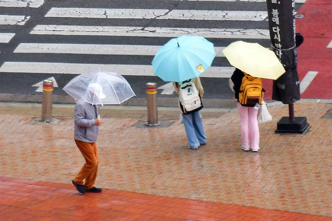 14일 오후 경북 포항시 전역에 반가운 단비가 내리고 있는 가운데 남구 포항시청 앞 횡단보도 앞에서 우산을 쓴 어린이들이 보행자 신호를 기다리고 있다. 2025.4.14. 뉴스1