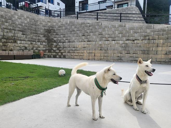 IMG_6208.jpeg 티눈이고 코딱지고 나발이고 ㅅㅂ거