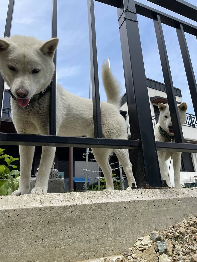 IMG_5448.jpeg 티눈이고 코딱지고 나발이고 ㅅㅂ거