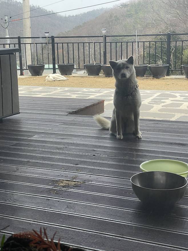 IMG_5319.jpeg 티눈이고 코딱지고 나발이고 ㅅㅂ거