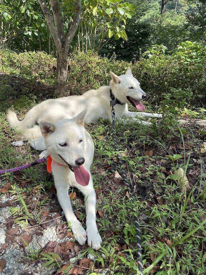 IMG_4834.jpeg 티눈이고 코딱지고 나발이고 ㅅㅂ거