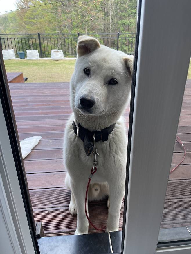 IMG_4205.jpeg 티눈이고 코딱지고 나발이고 ㅅㅂ거