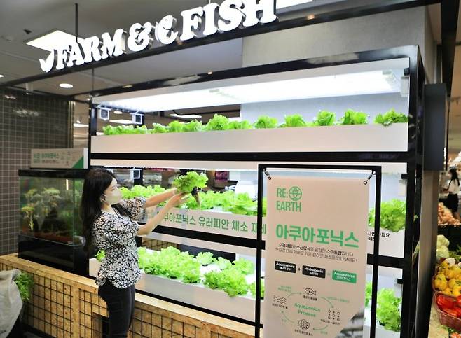 롯데마트 제타플렉스 잠실점의 아쿠아포닉스 스마트팜 매장 전경. 롯데마트 제공