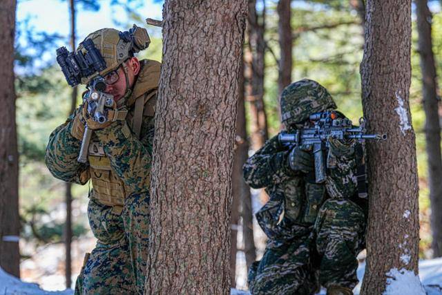 지난달 포항·포천·파주 일대 훈련장에서 실시된 '25-1차 KMEP 연합보병·제병협동훈련'에서 한미 해병대 장병들이 공격작전 간 경계를 하고 있다. 해병대사령부 제공