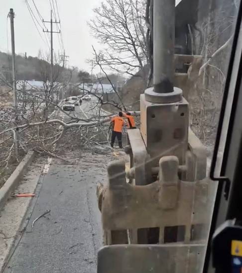 중장비 기사 A씨가 도로 위에 쓰러진 나무를 치우고 있다. [사진=인스타그램 @kimjoohyung]