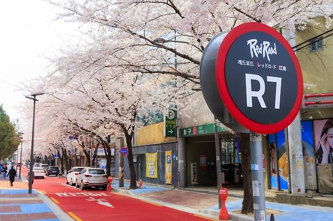 벚꽃이 만개한 마포구의 레드로드 R7 전경