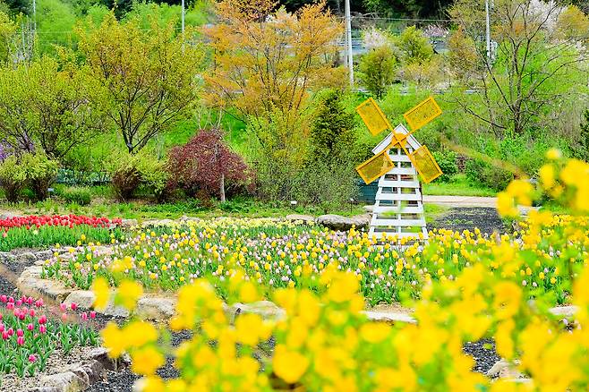 국립백두대간 수목원