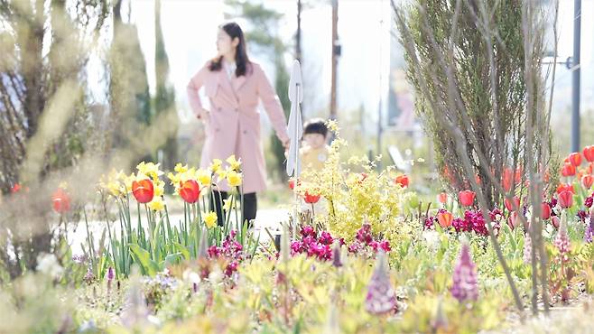 국립세종수목원 꽃길