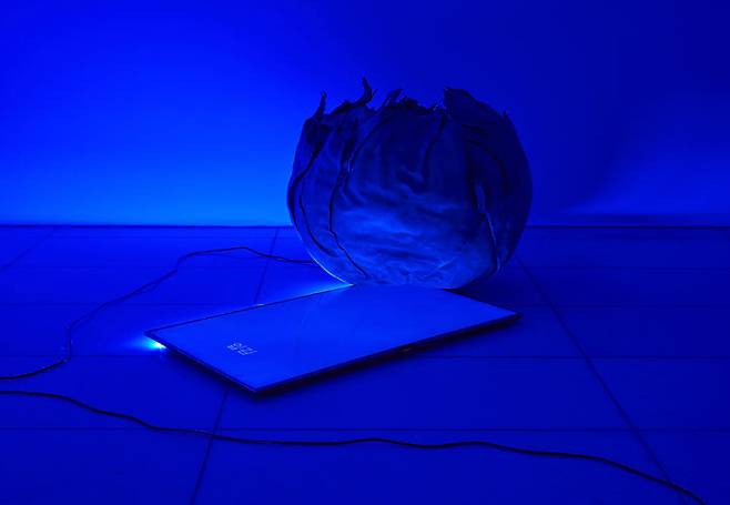 Installtion view of ARARIO GALLERY SEOUL 4F  *재판매 및 DB 금지