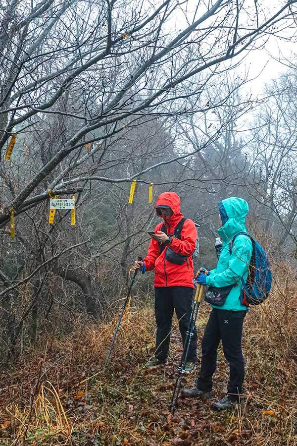 우마장산 정상에 도착했다. 이곳에는 정상석도 조망도 없었다.