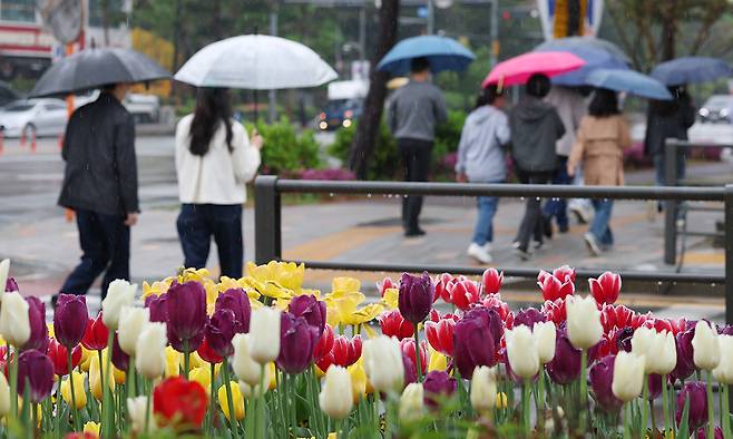 봄비가 내린 22일 경기 수원시의 한 거리에서 시민들이 우산을 쓰고 지나가고 있다. 뉴스1