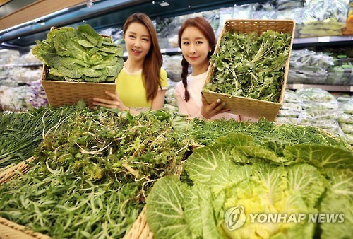 "겨울철 입맛 돋워줄 봄나물 어떠세요" (서울=연합뉴스) 30일 오전 서울 이마트 용산점에서 모델들이 달래·봄동·돌나물 등 각종 봄나물을 선보이고 있다.
    대표 상품은 봄동 1천9백80원(봉), 달래 1천7백80원(봉), 돌나물 9백90원(봉) 등이며 이외에도 해남 세발나물은 1천1백80원에, 황토냉이는 2천9백80원에, 산취나물은 3천4백80원(봉)에 만나볼 수 있다. 2017.1.30 [이마트 제공=연합뉴스]
    photo@yna.co.kr (끝)