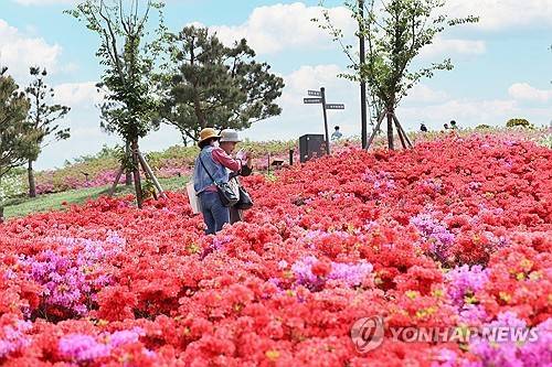 임실 붕어섬 생태공원 [연합뉴스 자료사진]