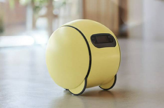 삼성전자가 올해 상반기 출시 예정인 가정용 인공지능(AI) 로봇 ‘볼리’. (사진=삼성전자)