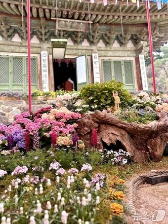 봄꽃이 가득핀 전등사ⓒ News1 윤슬빈 기자