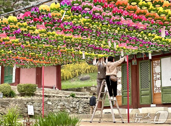 다가오는 부처님 오신날을 맞아 오색연등이 빽빽하게 걸려 있다ⓒ News1 윤슬빈 기자