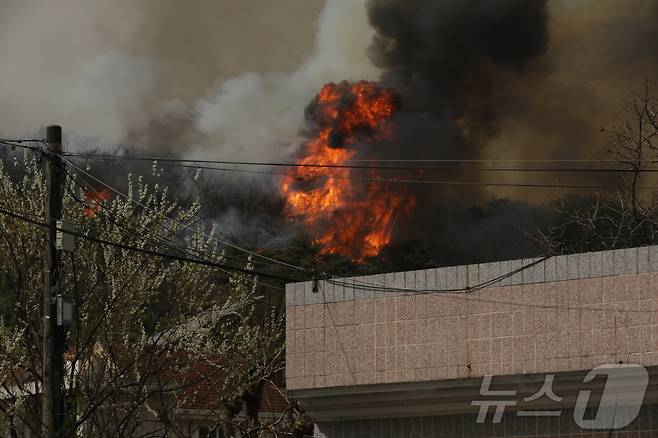 울산시 울주군 언양읍 송대리 화장산에서 불이 나 산림당국이 진화 작업을 하고 있다. 2025.3.25/뉴스1 ⓒ News1 김지혜 기자