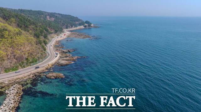 연간 1000만 명이 찾는 영덕군 블루로드 64.6㎞ 구간 가운데 54.6㎞가 산불 피해를 입지 않아 멋진 자연 경관을 그대로 유지하고 있다. / 영덕군