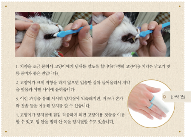 '24시 고양이 육아대백과', 저자 제공