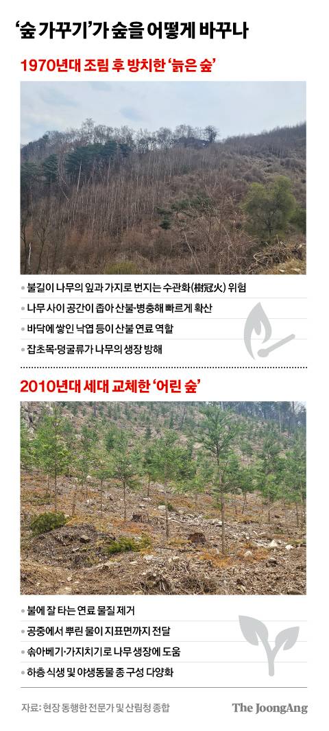 차준홍 기자