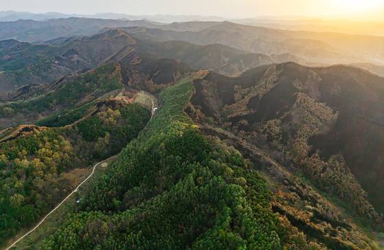 지난 17일 오전 경북 의성군 원당산 일대가 짙은 초록과 새까만 그을음이 극명한 대조를 이루고 있다. 지난달 영남 지방을 휩쓴 대형 산불은 전국적으로 약 10만4천ha의 산림을 태웠다. 중앙포토