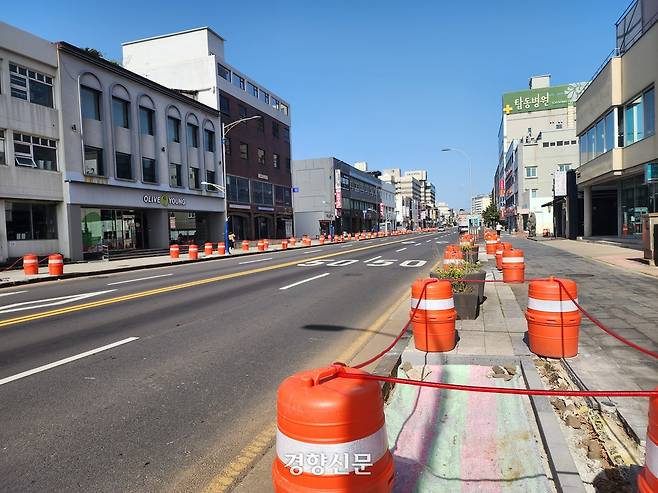 탑동로 일대 가로수로 식재됐던 워싱턴야자수가 제거되고 이팝나무를 식재하는 수종 교체작업이 진행 중이다. 박미라 기자