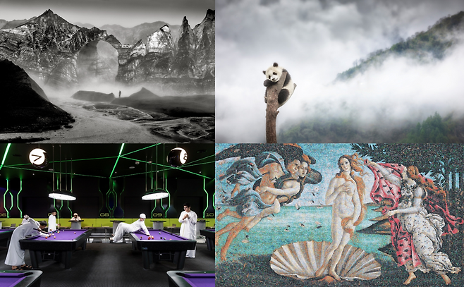 Clockwise from top left: "Arctic – the Edge of the World_glacier Iceland" (2021) by Ragnar Axelsson; "Habitat_A giant panda in Sichuan, Southern China, in a foggy morning" (2019) by Marco Gaiotti; "Running the Numbers_Venus" (2011) by Chris Jordan; and "Garden of Delight_Hub Zero Entertainment Complex, Dubai" (2017) by Nick Hannes (Chungmu Arts Center)