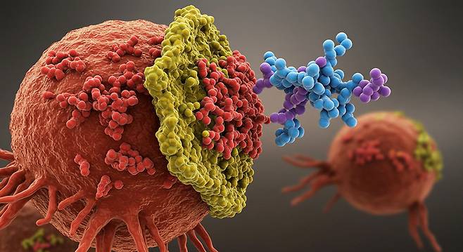 국내 연구진이 암세포의 면역 방어막을 분해해서 항암 효과를 높이는 기술을 개발했다. 사진은 구글 이미지FX로 생성.