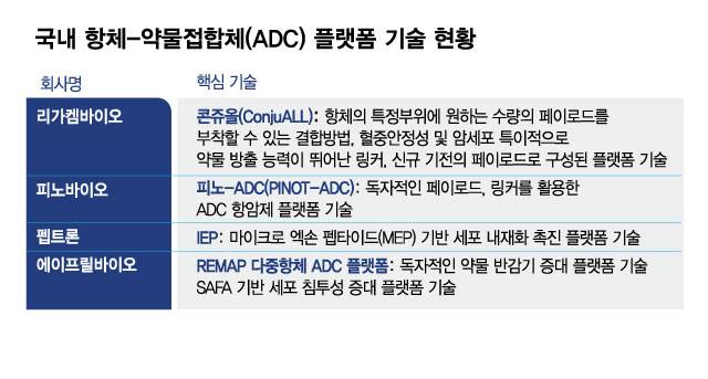 국내 항체-약물접합체(ADC) 플랫폼 기술 현황/디자인=김현정