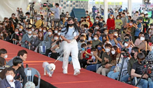 ▲'임실N펫스타' 자료사진 ⓒ임실군