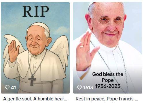 편히 잠드소서 [틱톡 캡처. 재판매 및 DB 금지]