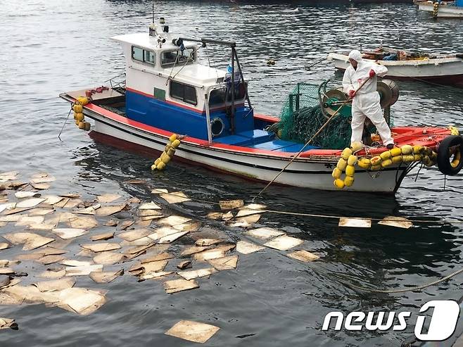 (사진은 기사 내용과 무관함) / 뉴스1 ⓒ News1