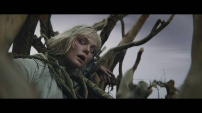 ‘프레데터: 죽음의 땅’, 11월 국내 개봉... ‘에어리언’ 맥 잇는다(제공: 월트디즈니컴퍼니 코리아)