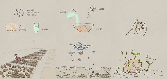 최재은, '종자 볼(Seed Bomb) 매뉴얼'. /국제갤러리