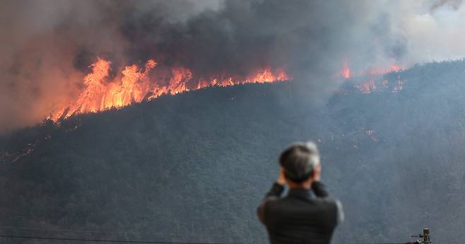 경북 의성군 대형 산불 발생 사흘째인 지난달 24일 의성군 점곡면 야산에서 산불이 강풍을 타고 번지고 있다. /연합뉴스