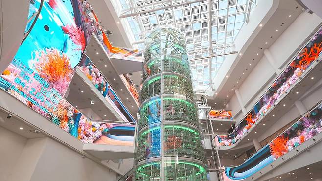 해양생명자원의 중요성을 알리기 위한 박물관 씨큐리움은 다양한 기획전을 개최하고 국내 최장 길이(250m)의 LED 미디어아트, 안내 로봇, 참여형 문화행사를 통해 체험형 콘텐츠를 강화했다. 사진은 LED 미디어아트가 상영되고 있는 씨큐리움 내부 전경. 국립해양생물자원관 제공