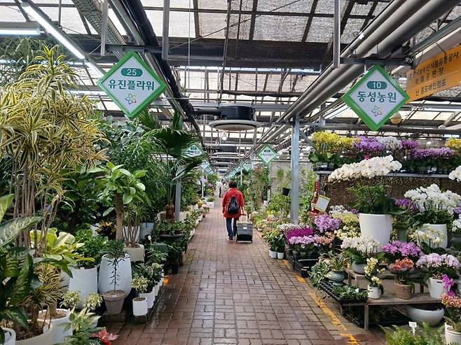 23일 텅 빈 서울 양재 화훼 시장. 이곳에서 만난 화훼 사업장 대표 장 모 씨(40)는 "누가 되든 바뀌는 건 없다. 장사나 잘 되게 해 달라"고 호소했다. (사진=송지원 기자)