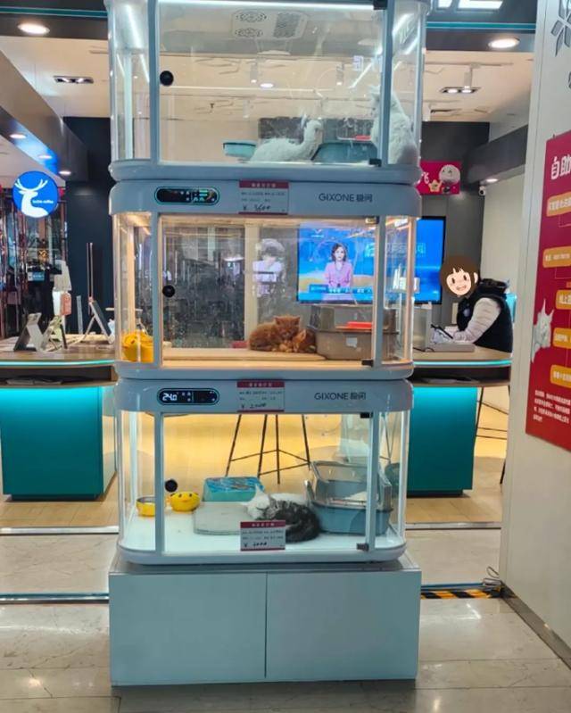 중국의 한 쇼핑몰에 반려동물 자판기가 설치돼 비판이 이어지고 있다. 바이두 캡처