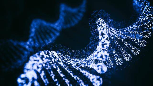 게티이미지뱅크