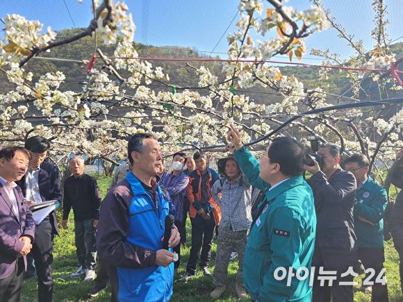 지난 7일 주낙영 경주시장이 이상저온현상으로 피해가 발생한 현곡면 래태리를 방문해 현장을 점검하고 있다. [사진=경주시청]