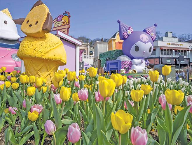 에버랜드가 산리오캐릭터즈와 손잡고 여는 튤립 축제.    삼성물산 리조트부문 제공
