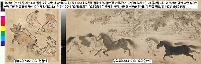 1447년 5월26일 의정부가 “농사(소)에, 군사(말)에 필수적인 소와 말을 훔쳐가는 자들이 너무 많다”면서 엄벌을 촉구하자 세종은 ‘소와 말 절도2범=사형’이라는 극약처방을 받아들였다.|국립중앙박물관·국립광주박물관 소장