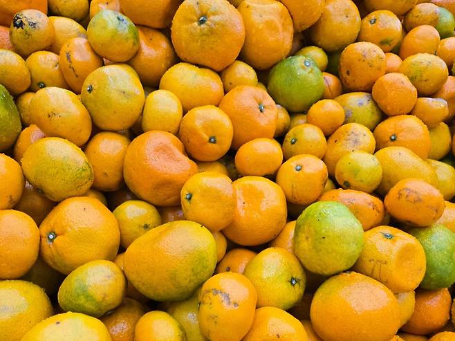 CU의 협력사인 부루구루에 생감귤 하이볼 상품의 원재료인 제주 감귤이 쌓여있다. /사진제공=BGF리테일.