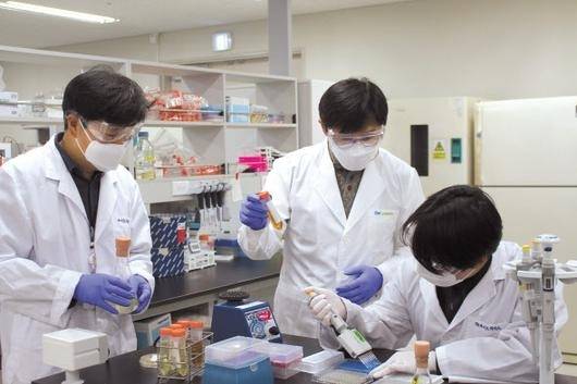 정부와 민간이 공동으로 ‘스타트업 코리아 펀드’를 조성해 딥테크 스타트업 육성에 나선다. 사진은 한 바이오기업의 연구개발 모습. [헤럴드DB]