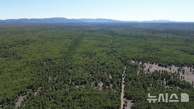 [토진나르스(몽골)=뉴시스] 지난 17일 한국 유한킴벌리가 몽골 토진나르스에 조성한 '유한킴벌리 숲'의 전경. 2025.04.22. (사진=김수헌PD bi2og@naver.com, 지구촌나눔운동 제공)