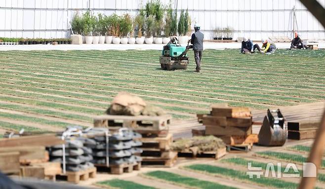 [서울=뉴시스] 김선웅 기자 = 24일 서울 중구 서울광장에서 잔디 식재 작업이 진행되고 있다. 2025.04.24. mangusta@newsis.com