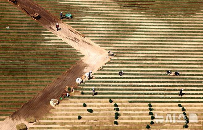 [서울=뉴시스] 김선웅 기자 = 24일 서울 중구 서울광장에서 잔디 식재 작업이 진행되고 있다. 2025.04.24. mangusta@newsis.com