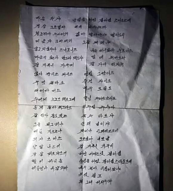 우크라이나 특수작전군(SSO)은 지난달 러시아 서부 쿠르스크 전투 지역에서 북한군 분대를 격파했다고 24일(현지시간) 밝혔다. 사진은 SSO가 공개한 북한군 유류품. 2025.4.24 SSO