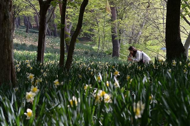 사진제공|충남문화관광재단