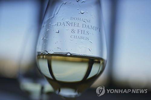 잔에 담긴 화이트 와인 [AP 연합뉴스 자료사진. 재판매 및 DB 금지]